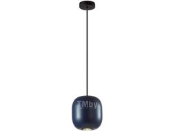 Потолочный светильник Odeon Light Cocoon 5060/1CA