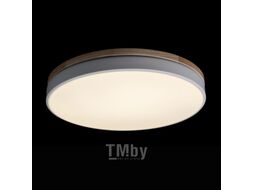 Потолочный светильник Loftit Axel 10001/36 White