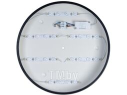 Потолочный светильник Loftit Axel 10002/24 (черный)