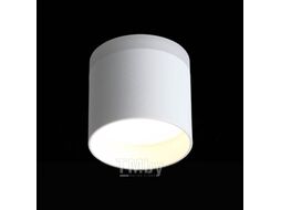 Потолочный светильник ST Luce Panaggio ST102.502.12