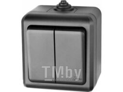 Выключатель Tokov Electric Dita TKL-DT-V2-C14-IP54 (карбон)