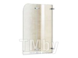 Стеклянная шторка для ванны WeltWasser WW100 100ZD2-90