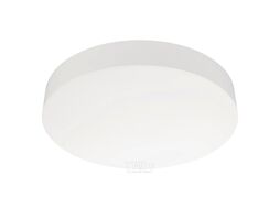 Потолочный светильник Arlight IM-FLOWER-EMERGENCY-3H-R410-32W Day4000-MIX WH 110deg / 042570
