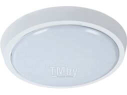 Светильник ЖКХ Leek LE LED BK RL 10W 6500K QS / LE 061200-158
