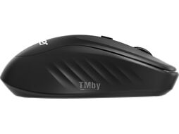 Мышь Acer OMR300 / ZL.MCECC.01R (черный)