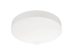 Потолочный светильник Arlight IM-FLOWER-EMERGENCY-3H-R280-15W Day4000-MIX WH 110deg / 042555