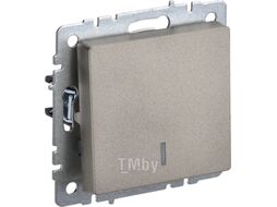 Выключатель IEK Brite BR-V12-1-10-K37 (шампань)