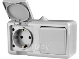 Блок выключатель+розетка Tokov Electric ОП Dita / TKL-DT-V1RZ-C06-IP54