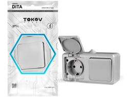 Блок выключатель+розетка Tokov Electric ОП Dita / TKL-DT-V1RZ-C06-IP54