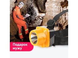 Фонарь Трофи Б0053033