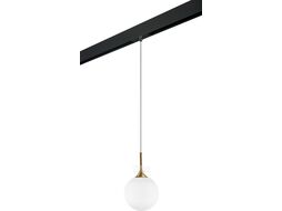 Трековый светильник Lightstar Globo / PRO813022