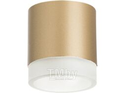 Точечный светильник Lightstar Rullo R349080