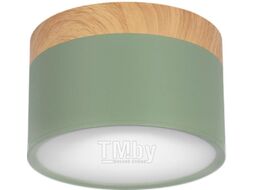 Точечный светильник Loftit Grape 10162 (зеленый)