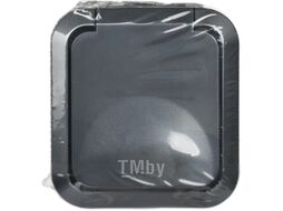 Розетка IEK Tors TS-R16-16-55-K53 (графит)
