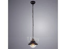 Потолочный светильник Arte Lamp Grazioso Nero A4577SP-1CK