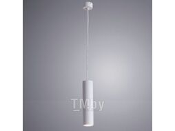 Потолочный светильник Arte Lamp Sirius A1524SP-1WH