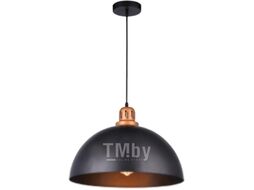 Потолочный светильник Arte Lamp Eurica A4249SP-1BK