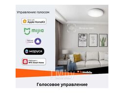 Умный потолочный светильник Arwen Ceiling Light 450S Yeelight YLXD013