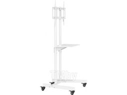 Стойка для телевизора Cactus CS-ST04WT