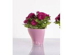 Кашпо BigPlast Hydria 36827 (лиловый)