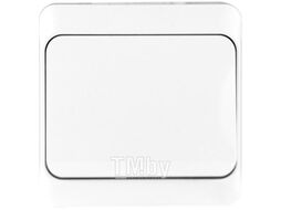Выключатель Tokov Electric TKE-NX-V1-C01-IP54