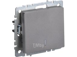 Выключатель IEK Brite BR-V12-1-10-K46 (сталь)