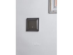Выключатель IEK Brite BR-V12-1-10-K46 (сталь)