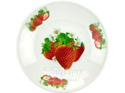 Блюдо Эмаль 01-0812/4