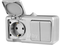 Блок выключатель+розетка Tokov Electric ОП Dita / TKL-DT-V2RZ-C06-IP54