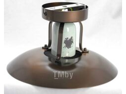 Потолочный светильник Lussole Loft Vermilion GRLSP-8162