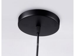 Потолочный светильник Ambrella Traditional TR8431 BK/FGD (черный/золото)