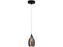 Потолочный светильник Arte Lamp Barry A7951SP-1BK