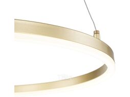 Потолочный светильник ESCADA Void 10254/1LED (Gold APP)