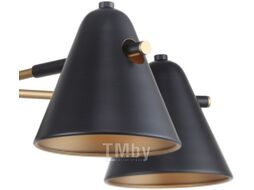 Люстра F-Promo Rigor 2844-5P