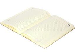 Ежедневник Lorex Start Simple / LXDRA5-SS (96л, черный)