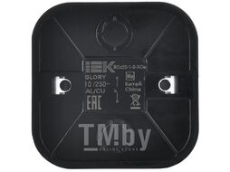 Выключатель IEK Glory EVH14-K46M-10 (сталь матовый)