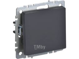 Выключатель IEK Brite BR-V13-0-10-K53 (графит)