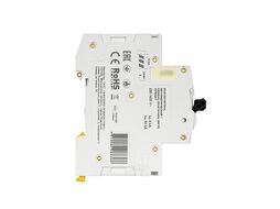 Выключатель автоматический IEK AR-M06N-3-B002