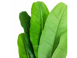 Искусственное дерево Банановая пальма 160 см, 9 листьев Skiper HT160104