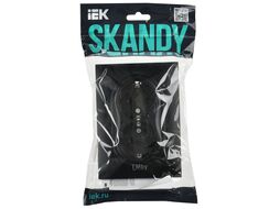 Розетка IEK Skandy SK-R24-16-K02-F (черный)