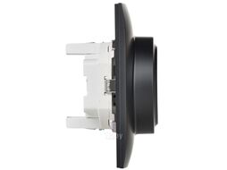 Розетка IEK Skandy SK-R24-16-K02-F (черный)