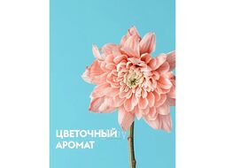 Средство чистящее для туалетных и ванных комнат экологичное 500 мл, с триггером Dutybox db-1212
