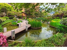 Туалетная вода Hermes Un Jardin Sur La Lagune (100мл)