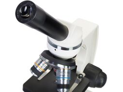 Микроскоп оптический Levenhuk Discovery Femto Polar с книгой / 77983