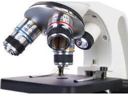 Микроскоп оптический Levenhuk Discovery Femto Polar с книгой / 77983