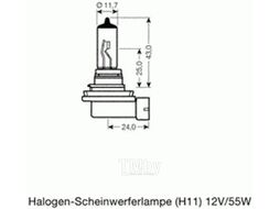Лампа OSRAM Original Line (H11) 12V 55W PGJ19-2 качество ориг. з/ч (ОЕМ) 64211