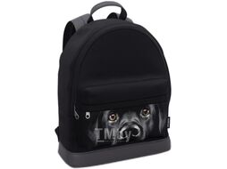 Рюкзак Erich Krause StreetLine 17L Black Dog / 60349