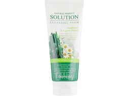 Пенка для умывания Deoproce Natural Perfect Solution с экстрактами кактуса и мыльного ореха (170г)