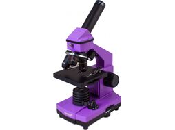 Микроскоп оптический Levenhuk Rainbow 2L Plus / 69042 (Amethyst)