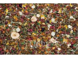 Корм для грызунов Versele-Laga Nature Original Chinchilla Для шиншилл / 461459 (750г)